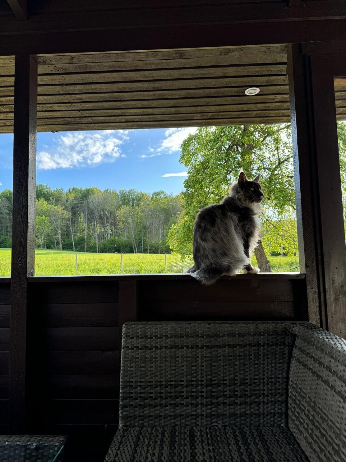 With Evening Sun In A Scenic Location * Skövde